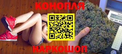 ешки Кингисепп