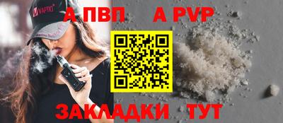 ешки Кингисепп
