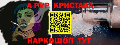 ешки Кингисепп