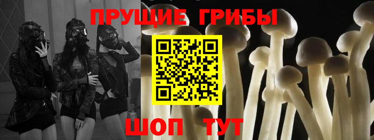 наркошоп  Вход с VPN  Лениногорск  Псилоцибиновые грибы Psilocybe 